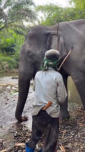 Malam kiyayi bani Adamu🙏💪🏻 #Amazing | Saidu Sani