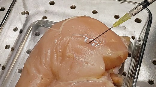 116K views · 366 reactions | We meet the engineers behind a new, ultrasound-powered injectable microchip. About the size of a grain of salt, the chip could help doctors diagnose illness and monitor vital signs. But believers in vaccine conspiracy theories have hijacked and misrepresented this new tech. We examine what happens when emerging science collides with online rumors and misinformation. #VWN | VICE News | Facebook