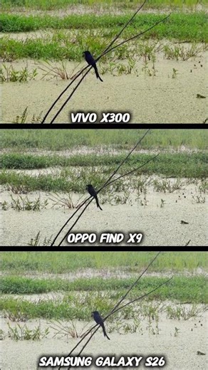 VIVO X300 vs OPPO FIND X9 vs SAMSUNG GALAXY S26 Photography Test Camera zoom Test ultimate battle