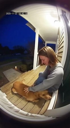 Dog comfurts grieving owner!
