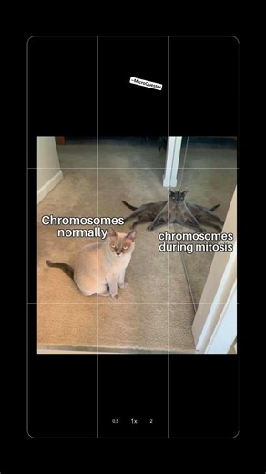 #microbiology #memes #funny #pinterest#scienceshorts #viralshortsvideo #viralshorts