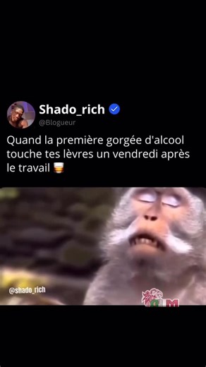 ShadoRich🥷🏾 on Instagram: "Un vrai bonheur 😩🥃 Suivez @shado_rich pour des contenus quotidiennes comment celles- ci!🙂❤️ . . . #fyp #réalité #reality #viralreels #viralpost #fridayvibes😎 #vendredi #weekend #afterworks #tweetmemes #abonnetoi #shado_rich #tweegram #instagram #drole #mdr #lol #rire #humour #humourfrançais"