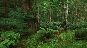 377K views · 1.4K reactions | Immerse yourself in the Canadian soundscape with Wild Sounds of Canada, performed by Sarika Cullis-Suzuki. | Audible | Facebook