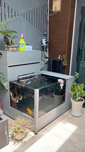 65 reactions · 31 comments | Anber Fish 03 - Hồ cá cao cấp composite...