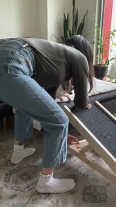 ⚠️ PROTECT Your Dog from Injuries with the #1 Vet-Recommended Dog...