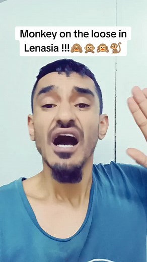 Monkey on the Loose in Lenasia: The Capture & Controversy