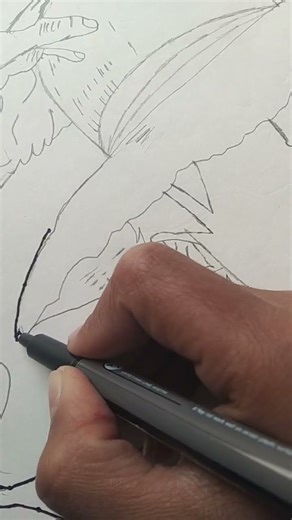 luffy drawing out lining