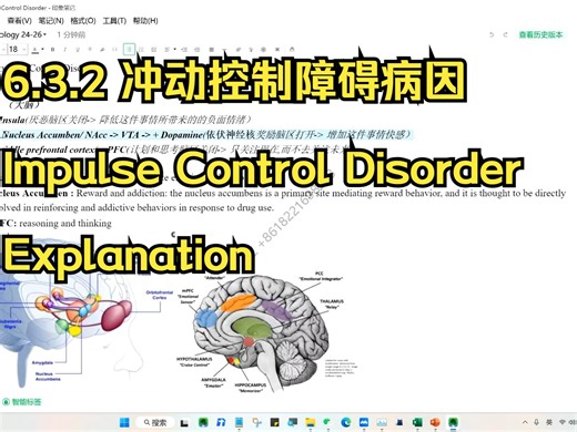 6.3.2 冲动控制障碍病因：Impulse Control Disorder Explanation