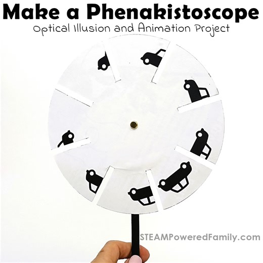 Phenakistoscope Optical Illusion Project