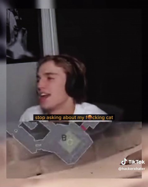 Understanding Vinnie Hacker's Pet Cat Mystery