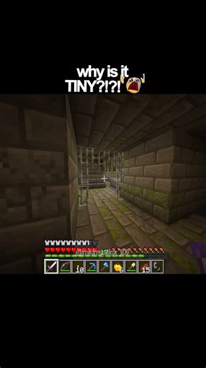 Midmysticx | Why is it TINY?!?! 😭 #minecraft #gaming #minecraftmemes #funny #meme | Instagram