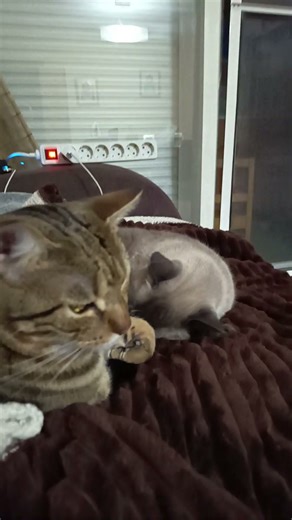 24 de noviembre de 2025