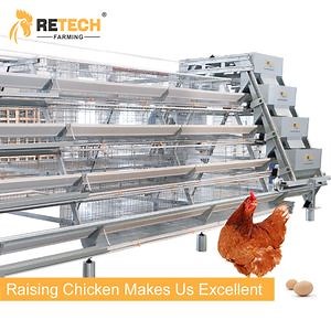 [Hot Item] A type automatic galvanized layer chicken cage