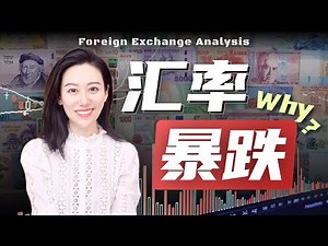 汇率为什么涨跌 | 美元跌宕50年