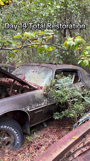 Share so i can get a motor to race donk master ☺️! #restoration #race #exploring | Tamela Cook