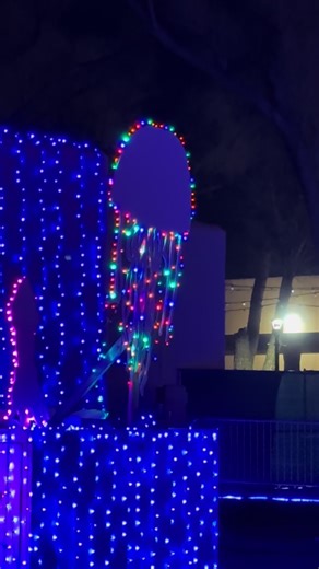 I know what it’s “supposed” to be. But I also know what it “looks” like…. 😂 #lights #jellyfish #whatisthat #clonedsim #dictionary