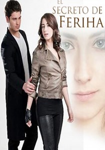 The Girl Named Feriha Season 1 - watch episodes streaming online