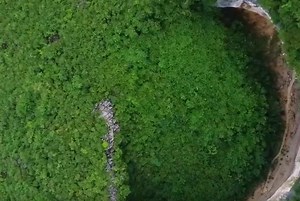 湖南“碳”路观察②丨湖南林业的雄心：助力湖南提前实现“碳中和”_经济.民生_湖南频道