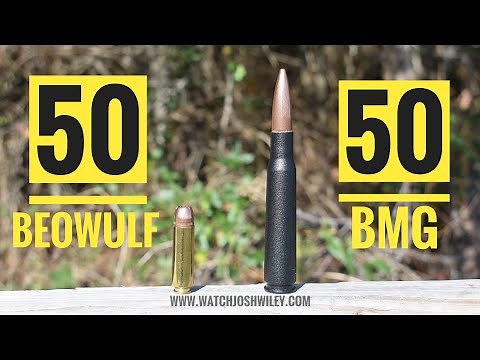 50 Beowulf vs 50 BMG