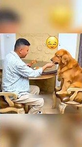 🐶 He Waited for a Miracle… Then Got the Biggest Surprise of His Life! ❤️🎂