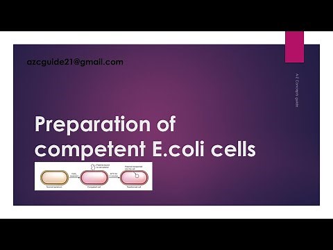 Preparation of competent E.coli cells | Gene Cloning | A-Z concepts guide