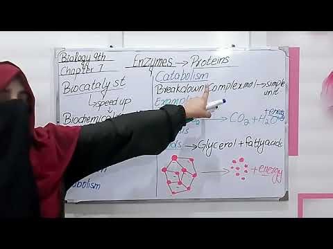 Introduction to Enzymes & Metabolism | Catabolism & Anabolism| Ch 7 Lecture 1#catabolism #anabolism