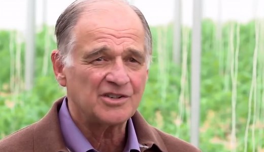 8 Pros and Cons of Biotechnology of Tomatoes - HRF