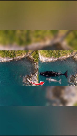 How to Merge Two Photos Naturally Using Auto Blend in Photoshop 2026 #shorts