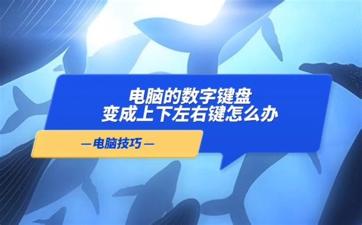 电脑数字小键盘打不了数字变成上下左右键怎么办，简单操作五秒恢复，只需在设置中关掉这个开关