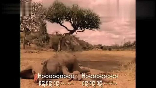 迈克尔杰克逊 - Earth Song 地球之歌MV超清版中英文字