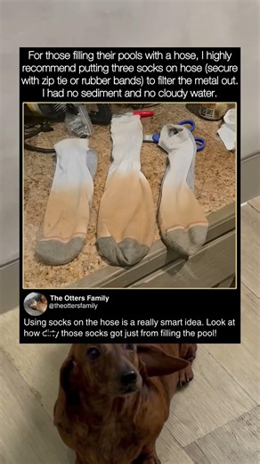 Use socks to filter pool water