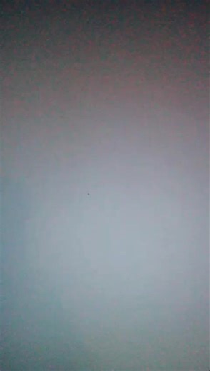 L I T A ! (@iconic_lita)’s videos with original sound - L I T A !