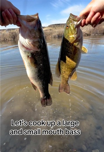 How to Bake Bass: Catch and Cook Guide