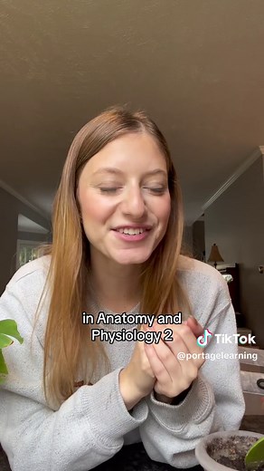 How do you study for an online exam? #Flashcards #ExamStress #StudyTok #AandP #BestPractice (student experience taking an online college course with Portage Learning)