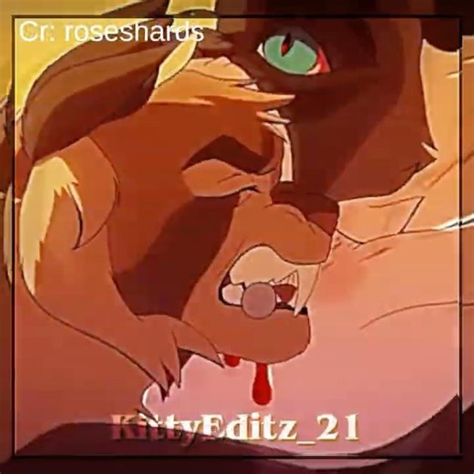 Hawkfrost’s death edit • Warrior Cats • #hawkfrost #brambleclaw
