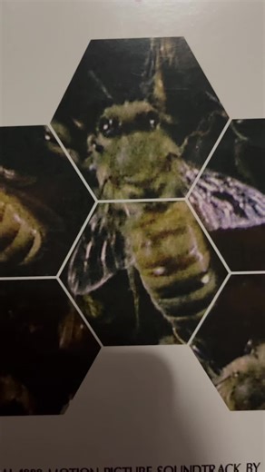 NOW PLAYING: “Candyman” score by Philip Glass! One of my favorite movies of all time matched with one of my favorite movie scores of all time. This one is a hard one to beat. Ive been looking for a copy and thankfully finally won one in an auction. #foryoupage #vinylrecords #vinyltok #audio #collection #vinyl #music #vinylcollection #vinyltiktok #horror #philipglass #candyman #90s