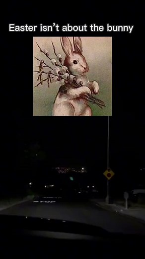 Shinobu_998 on TikTok