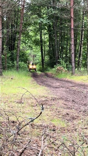 Polaris Scrambler 2 years ago