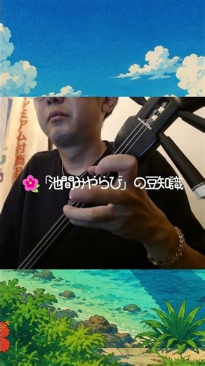 豆知識から知る沖縄音楽その12「池間みやらび(我如古より子）」#池間みやらび,#我如古より子,#三線,#沖縄民謡,#宮古島,#池間島,#沖縄音楽,#沖縄の歌