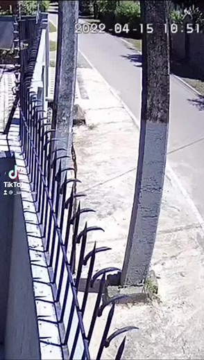 @NOVA 🧟‍♂️💗 @𝚡 𝚛𝚎𝚜𝚜𝚊🅷🙉💖 @𝕊𝚒𝚝𝚑𝚞𝚖