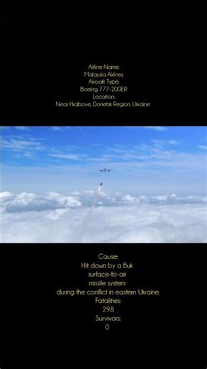 MH Flight 17 Shot Down Animation