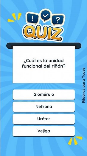 🚀¡Viaje al interior del riñón!