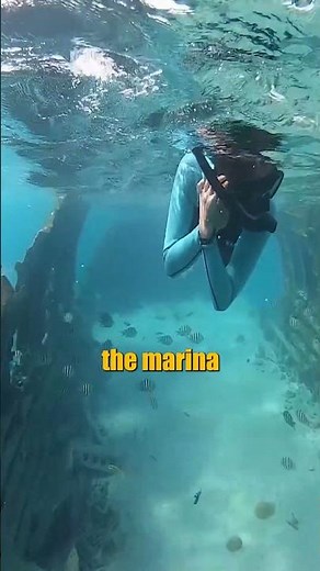 Pablo Escobar's Crashed plane in the Bahamas