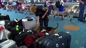 Border Security Canada Season 3 Episode 25