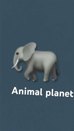 Animal planet logo