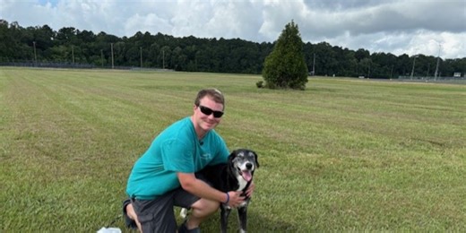 Lure Coursing gets dogs moving
