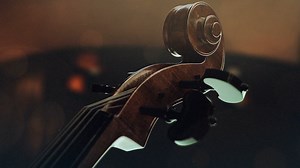 Violin