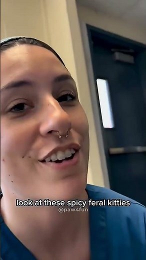 Cats vs Humans 😸😂 #funny #catvideos #catsshorts #cat