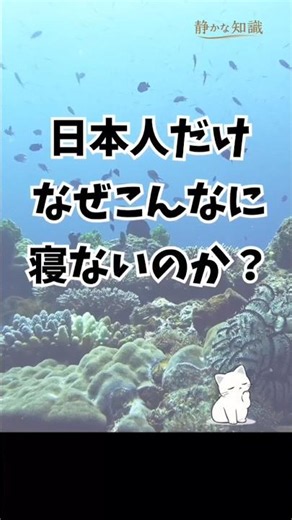 世界と比べて日本人だけ寝不足な理由