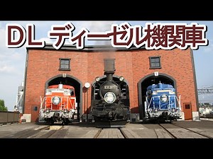 がみさん✖️東武鉄道「ＳＬ大樹」コラボ記念 知られざるＤＬ（国鉄色、北斗七星色）